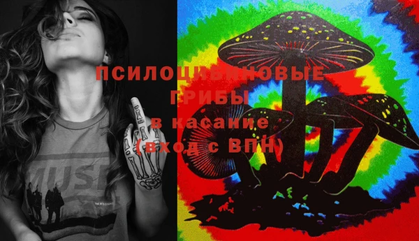 индика Алзамай