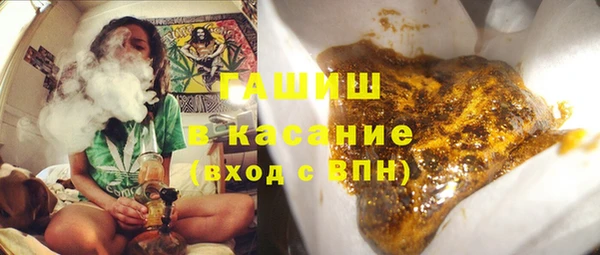 индика Алзамай