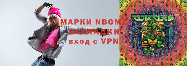индика Алзамай